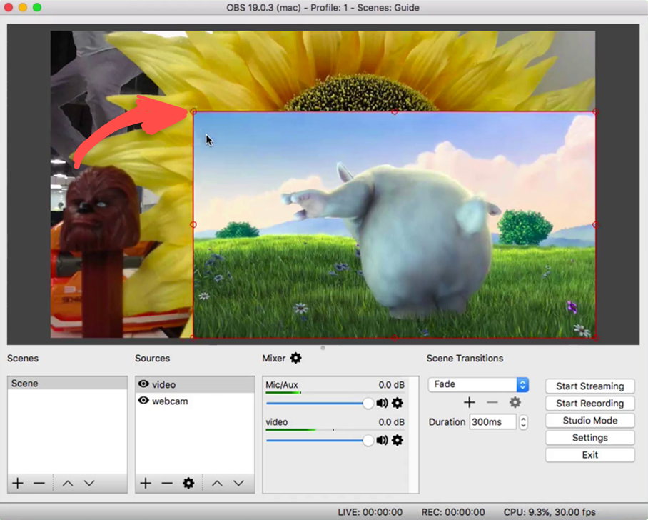 Resize the layer